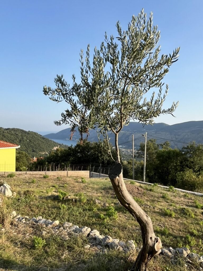Land for Sale in Ratiševina