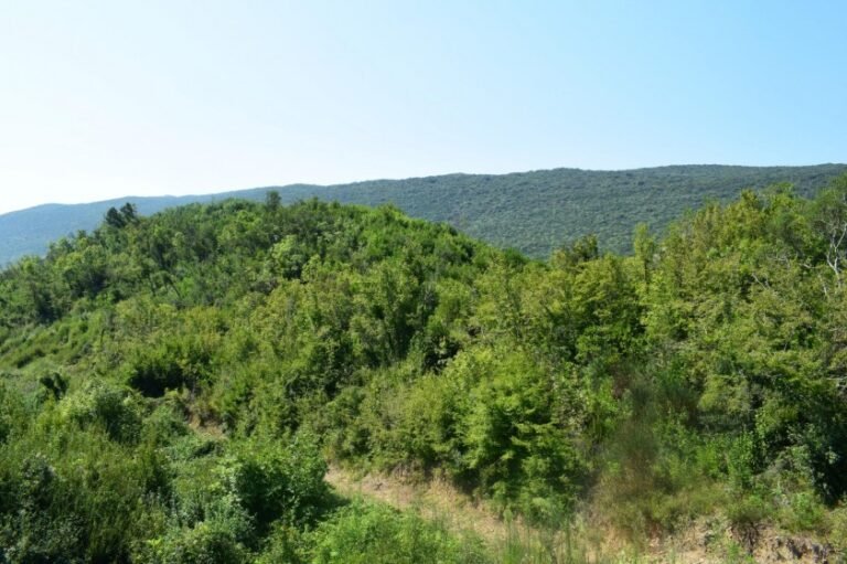 Land for Sale in Gorovici