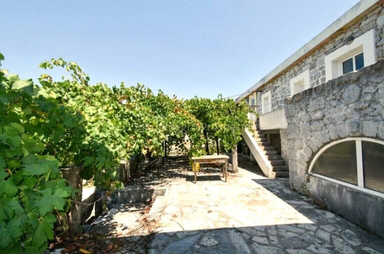 Spacious Stone House with Sea View